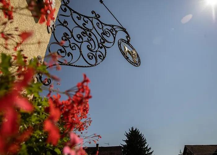 Hotel Landgasthof & Brauerei Loewen Sasbach